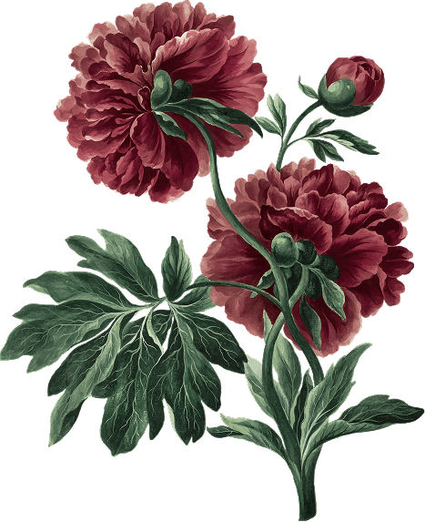 Ornament